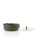 Green tools Steamer