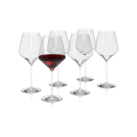 Legio Nova bourgogne wine glass 6 pcs.