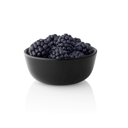 Nordic kitchen Bowl 0.15 l 10 cm