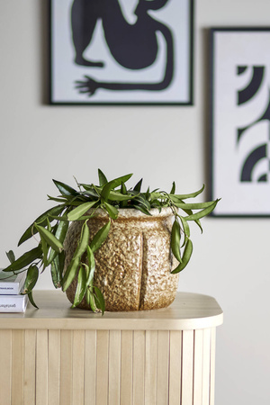 BLOOMINGVILLE RITZA flowerpot brown