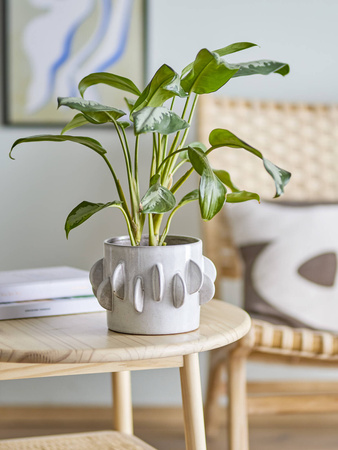 BLOOMINGVILLE ROZA flowerpot white