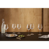Legio Nova white wine glass 6 pcs.
