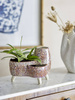 BLOOMINGVILLE SHAYA natural flowerpot