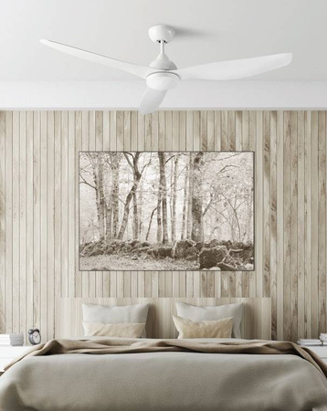 Ceiling fan with LEDS lamp C4 NEPAL white