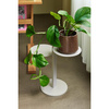 Platform Side Table Sand
