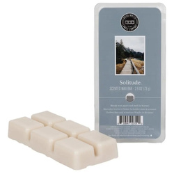 Wosk Zapachowy Bridgewater Candle SOLITUDE