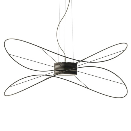 AXOLIGHT Hoops 2 black pendant lamp