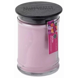 Świeca Zapachowa Bridgewater Candle XOXO 524g