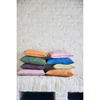 Cushion, spicy ginger (60x35)