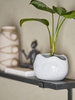 BLOOMINGVILLE PENNIE flowerpot white
