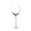 Sauvignon Blanc