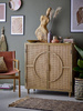 Pablo Cabinet, Nature, Mango