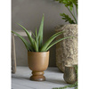 Aloe Plant, Green, Artificial Flowers