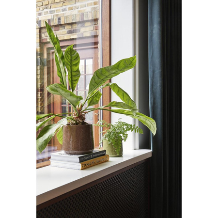 Vibe Pots Green (set of 2)