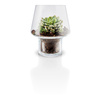 Succulent glass vase Ø15 cm