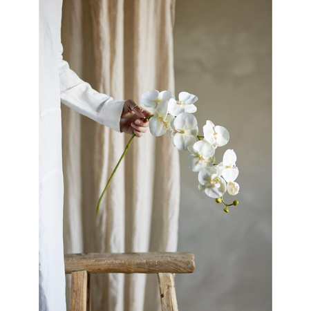 Orchid Stem, White, Artificial Flowers