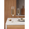 Legio Nova champagne glass 6 pcs.