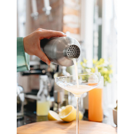 Liquid Lounge Cocktail shaker