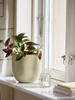 BLOOMINGVILLE JANTI natural flowerpot