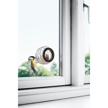 Window suet bird feeder