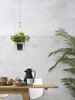 Hanging lamp, plant holder Florence 52x19cm, white