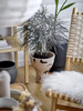BLOOMINGVILLE MAC Flowerpot Black