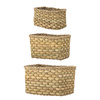 Ramon Basket, Nature, Seagrass