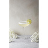 Champagne Coupe