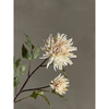 Chrysantemum Stem, Nature, Artificial Flowers