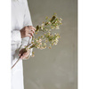 Waxflower Stem, White, Artificial Flowers