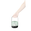 Acorn lantern Mint green