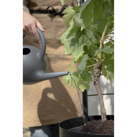 Simply Grow Plant Pot Trellis