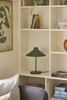 HÜBSCH SHAPE table lamp green