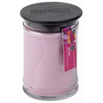 Świeca Zapachowa Bridgewater Candle XOXO 524g