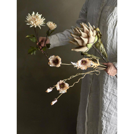 Poppy Stem, Nature, Artificial Flowers