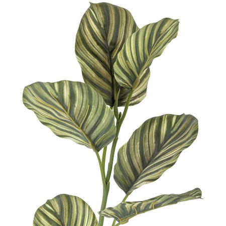 Zebra Stem, Green, Artificial Flowers