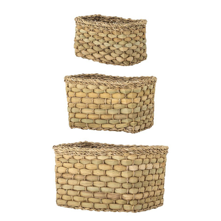 Ramon Basket, Nature, Seagrass