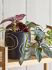 BLOOMINGVILLE TROY black flowerpot