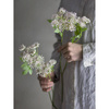 Fennel Stem, Rose, Artificial Flowers