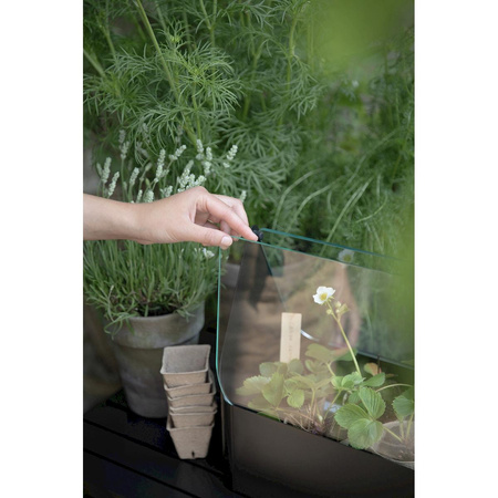 Simply Grow Mini Greenhouse