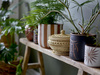 BLOOMINGVILLE LO brown flowerpot