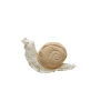 Poduszka Lorena Canals SNAIL beżowa