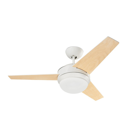 FORLIGHT WINDY ceiling fan white