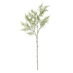 Sztuczna Gałązka Bloomingville FERN zielona