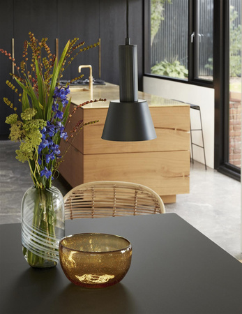 HÜBSCH MONO black hanging lamp