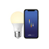 Zestaw 2 mlecznych żarówek SMART Nordlux, E27 (sterowana aplikacją) 