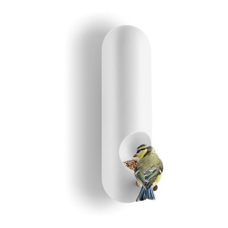 Bird feeder tube wall-mounted