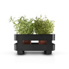 Self-watering herb organiser steel Black