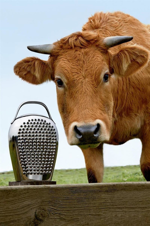 Tarka do sera Alessi Cheese Please srebrna