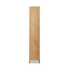 Pioneer rattan cupboard
